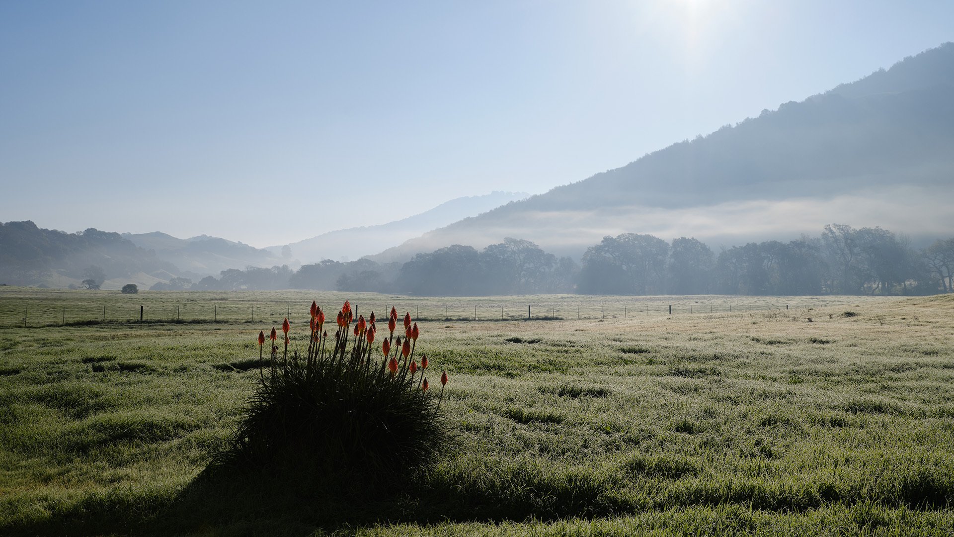 Exterior view from Eames Ranch in Petaluma California.