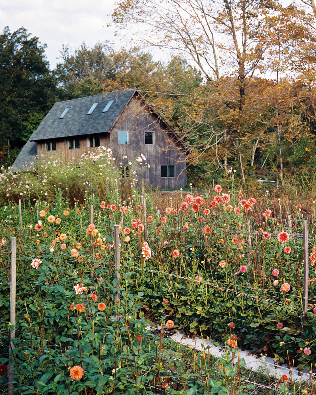 A rustic small building surrounded by flowers at Four Root Farm in East Haddam, Connecticut.