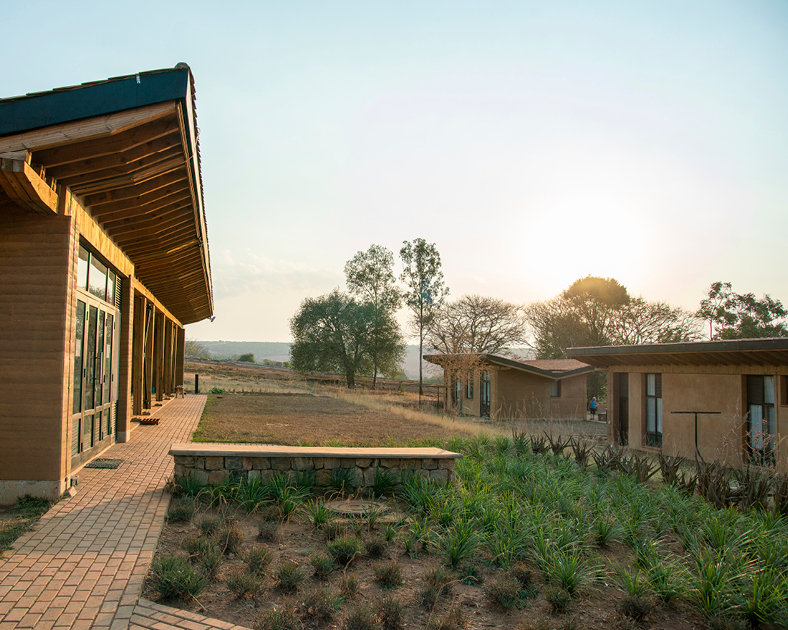 Side view of Rwanda Institute for Conservation Agriculture building made of wood with angled passive solar roofs.