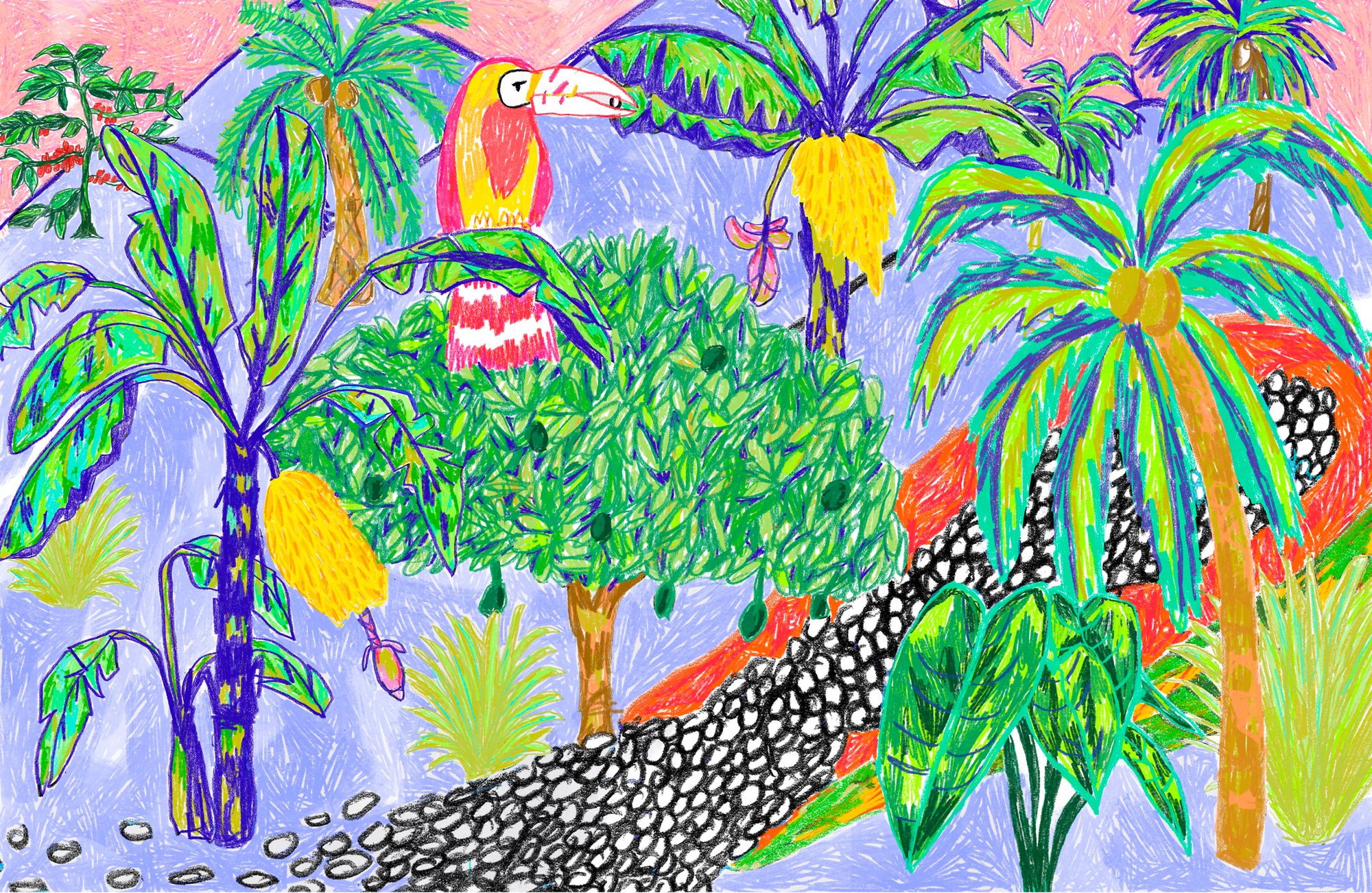 Brightly colored illustration of flora and fauna represent climate activist and educator Sage Lenier’s thoughts on intersectional and circular design.